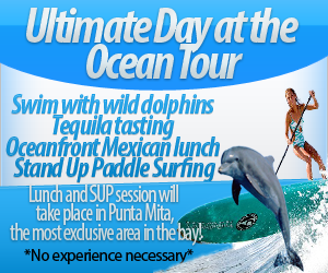 dolphin swim and padle surf vallarta tour